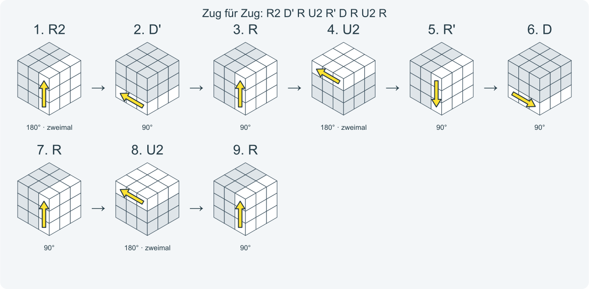 Zug für Zug: R2 D' R U2 R' D R U2 R. Nummeriert von links nach rechts.