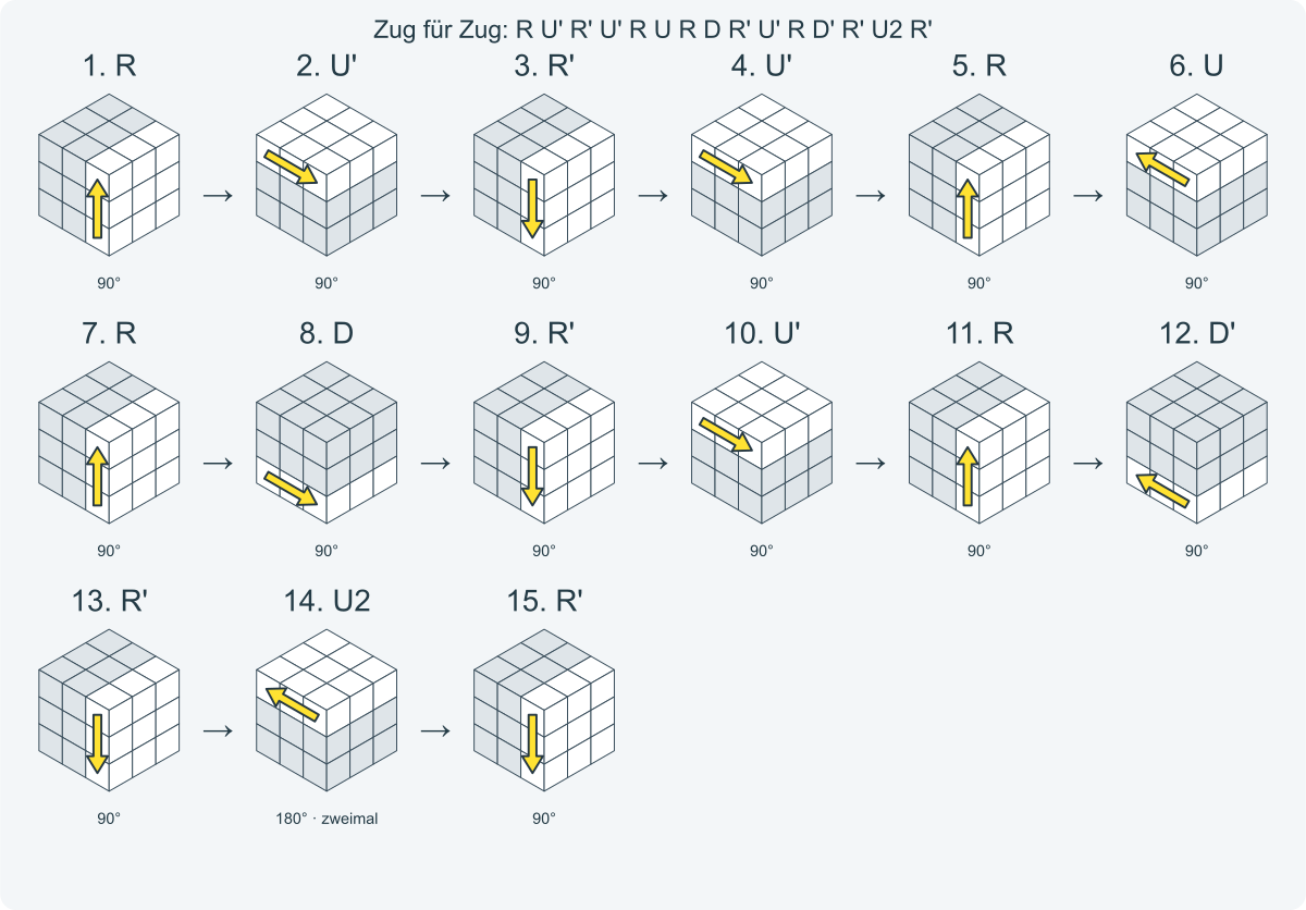 Zug für Zug: R U' R' U' R U R D R' U' R D' R' U2 R'. Nummeriert von links nach rechts.
