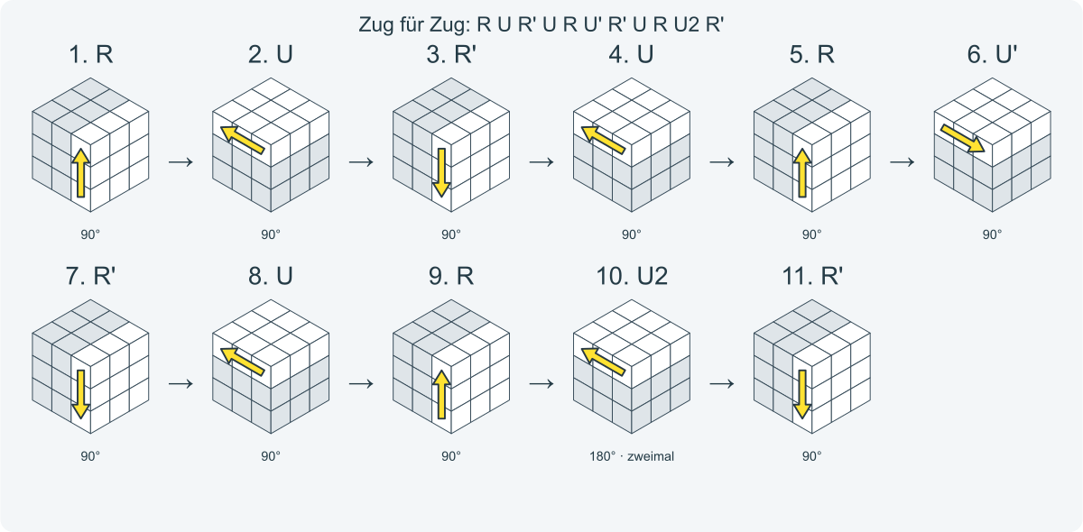 Zug für Zug: R U R' U R U' R' U R U2 R'. Nummeriert von links nach rechts.